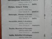 1958. Birželo 9-10 d. Visi Renkame Seimą unikali a - nuotraukos Nr. 3