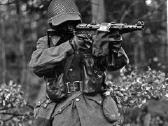 Ww2 Svedu kariomines gertuve - nuotraukos Nr. 3