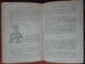 1962. Šimtajėgis Žmogus antikvarinė-kolekcinė - nuotraukos Nr. 14