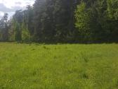 Ant Vyžuonos upės kranto, 7,56ha sklypas - nuotraukos Nr. 7