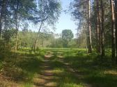 Ant Vyžuonos upės kranto, 7,56ha sklypas - nuotraukos Nr. 5