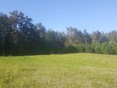 Ant Vyžuonos upės kranto, 7,56ha sklypas - nuotraukos Nr. 6