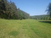Ant Vyžuonos upės kranto, 7,56ha sklypas - nuotraukos Nr. 8