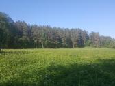 Ant Vyžuonos upės kranto, 7,56ha sklypas - nuotraukos Nr. 9