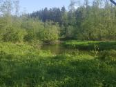 Ant Vyžuonos upės kranto, 7,56ha sklypas - nuotraukos Nr. 4
