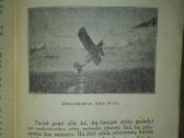 1967. Dangaus Užkariavimas S. Vaitkevičius - nuotraukos Nr. 9