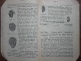1977. "Dieve Padėk!" Kalendorius 1914 Metams - nuotraukos Nr. 5