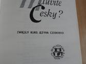 Čekų-lenkų kalbų žodynas mokymuisi - nuotraukos Nr. 2