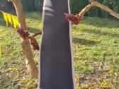 Major Craft Day's 360 - nuotraukos Nr. 8