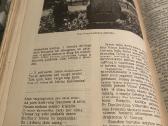 Parduodamas 1979 m Ūkininko kalendorius - nuotraukos Nr. 4