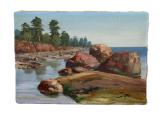 Drobė aliejus Latvija 35x50 cm. kaina 65 eurai