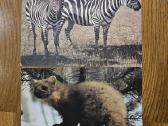 Parduodu tarybines atvirutes - nuotraukos Nr. 3
