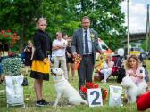 Kilmingi Labradoro Retriveriai Iš Veislyno - nuotraukos Nr. 14