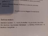 Lavinamasis stalo žaidimas Parduotuvė - nuotraukos Nr. 6