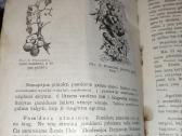 Tarpukario knygutė - nuotraukos Nr. 4