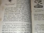 Tarpukario knygutė - nuotraukos Nr. 6