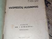 Tarpukario knygutė - nuotraukos Nr. 2