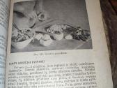 Tarpukario knygutė - nuotraukos Nr. 7
