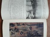 Tadas Ivanauskas "Gamtininko užrašai" 1955 metai - nuotraukos Nr. 10