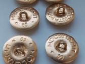 Kolekcionavimas - nuotraukos Nr. 2