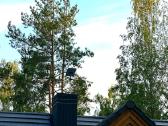 Starlink techninė pagalba, montavimas, pajungimas - nuotraukos Nr. 20