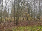 Parduodama sodyba Ignalinos rajone, Navikai - nuotraukos Nr. 5