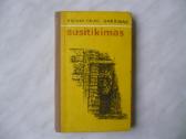 V. Garšinas - Susitikimas