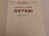 Grybai - nuotraukos Nr. 2