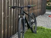 Specialized Rockhopper sport