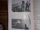 Nauticus. Johnbuch Fur Deuschlands Seeinteressen - nuotraukos Nr. 9