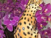 Keramikinis leopardas - nuotraukos Nr. 2