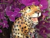 Keramikinis leopardas - nuotraukos Nr. 7