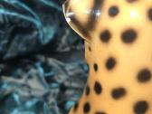Keramikinis leopardas - nuotraukos Nr. 6