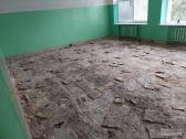 Visi griovimo darbai,šiukšliu išvežimas,išnesimas - nuotraukos Nr. 13