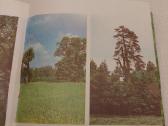 Miško pasaulis - nuotraukos Nr. 5