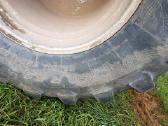 Kombainas Massey Ferguson 40 Ardomas Dalimis - nuotraukos Nr. 4