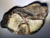 Agatas, chalcedonas - nuotraukos Nr. 2