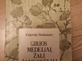 Girios medeliai, žali žaliuonėliai