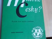 Mluvite česky( pasikalbėjimui)