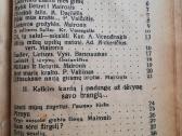 Sodieciu dainos 1927m - nuotraukos Nr. 3