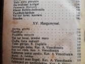 Sodieciu dainos 1927m - nuotraukos Nr. 6