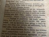 Prieškario knygute