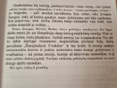 Žmogžudystė Tvinhilse - nuotraukos Nr. 3