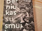 Berniukas su smuiku