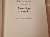Berniukas su smuiku - nuotraukos Nr. 2