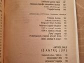 Avarijos ir katastrofos - nuotraukos Nr. 5