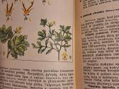 Bendroji biologija - nuotraukos Nr. 5