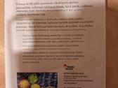 Piešimas ir eskizavimas - nuotraukos Nr. 5