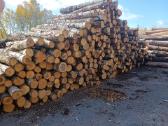 Įvairios malkos visų rūšių skaldytos 3 m gražios - nuotraukos Nr. 6