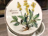 Villeroy & Boch indelis